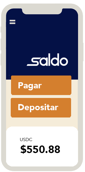 Saldo App Screenshot